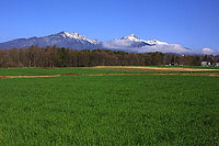 緑の絨毯と八ヶ岳・春の写真